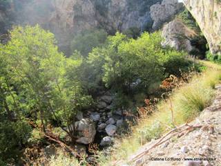 stoleone-31-08-2015 09-07-32